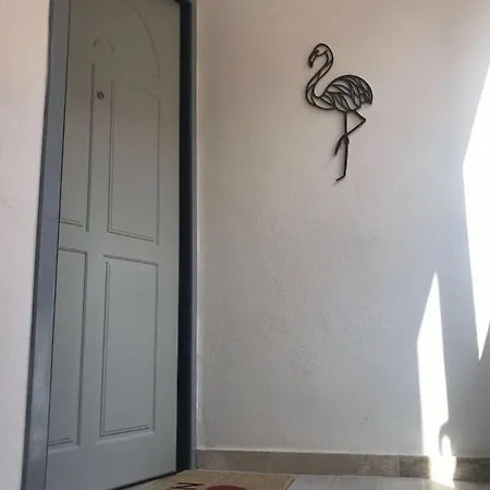 Flamingo Luxury Apartment Ajpsardinia Cagliari Exterior photo