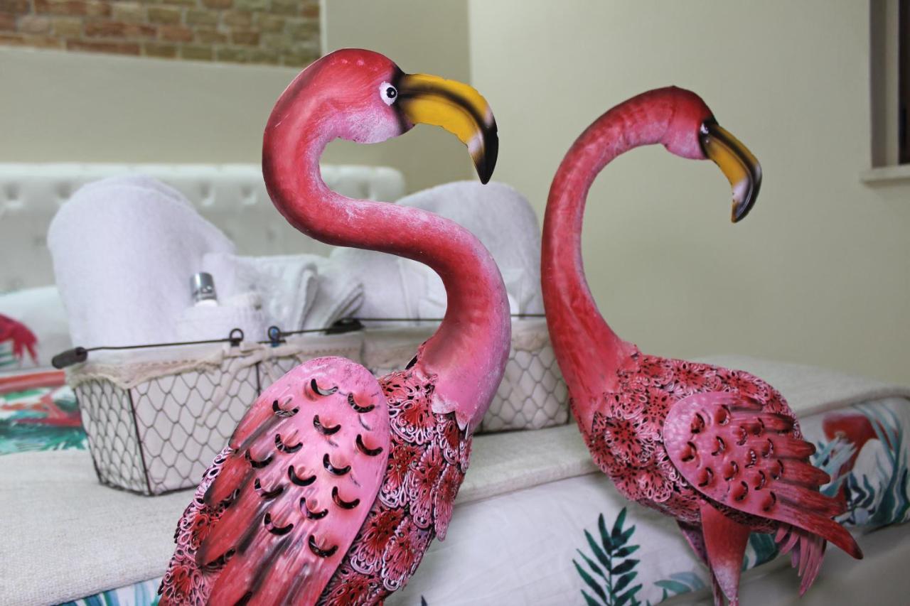 Flamingo Luxury Ajpsardinia Cagliari